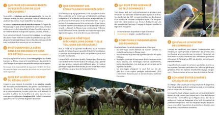Attaque de loup - page 2