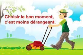 Tonte des pelouses
