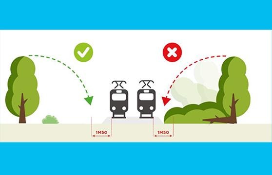végétation train